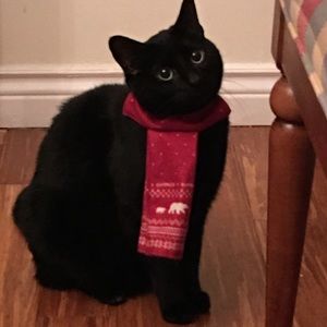 Meet your Posher, Lorie